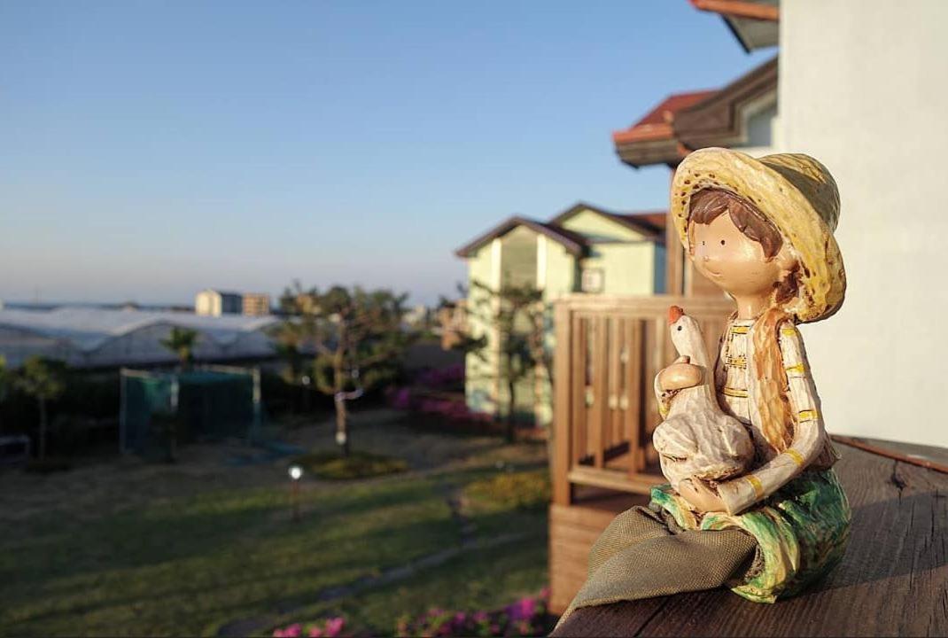 済州市 済州 タイム トラベル ペンションヴィラ エクステリア 写真